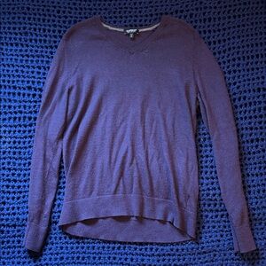 Express V-Neck Sweater in Deep Purple